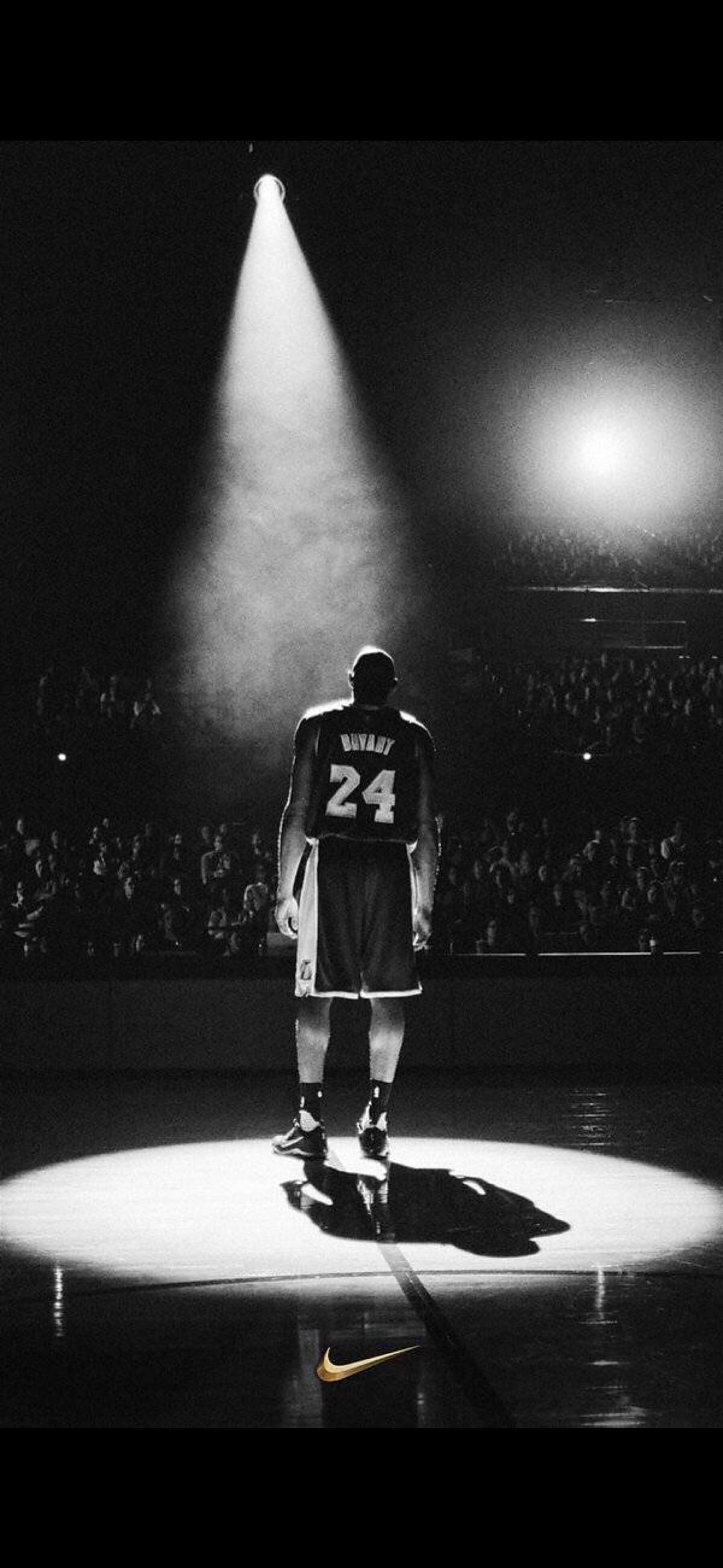 成员国普遍 成员国普遍